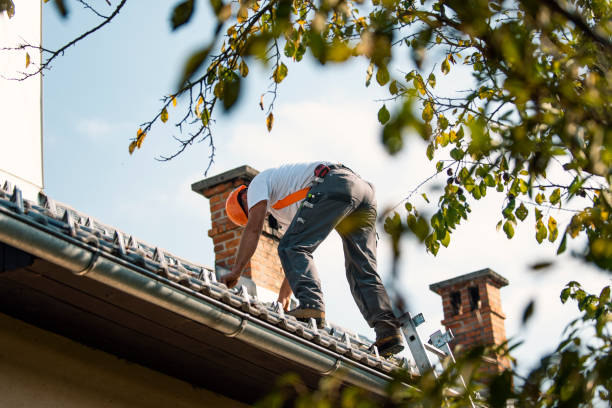 Best Roof Waterproofing Services  in Mccom, MS